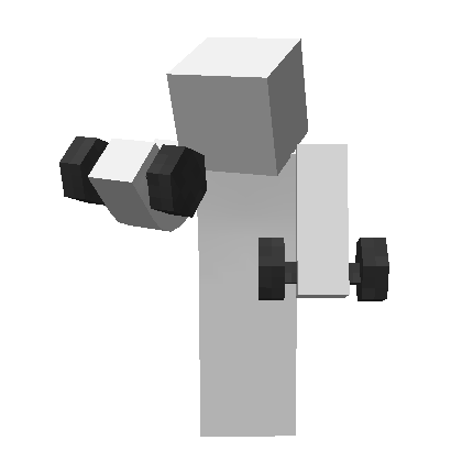 Bicep Curls