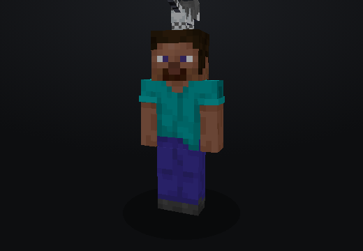 Cat Pet